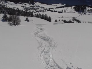 01 - belle curve in neve fresca