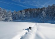 Meno male che qualcuno batte traccia!