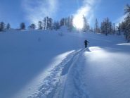 Tratto finale del bosco