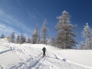 ma quanta neve...