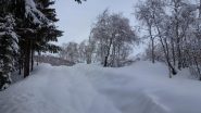tanta neve