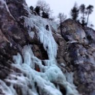 Tiro chiave di Pingu