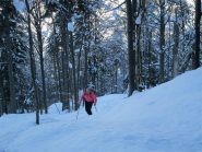 Tanta neve nel bosco