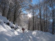 A Patqueso nei pressi dell'inizio del sentiero per l'Alpe Cortino