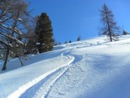 powder