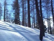 nel bosco sopra Miandette e Lausarot