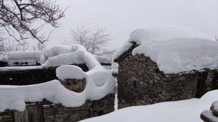 Perebella al ritorno
