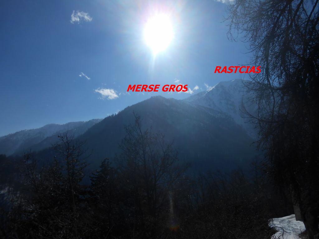 Il Merse Gros da Collet