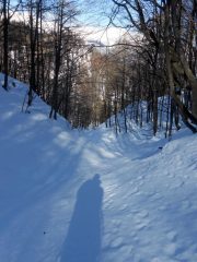 corridoio naturale