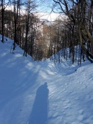 corridoio naturale