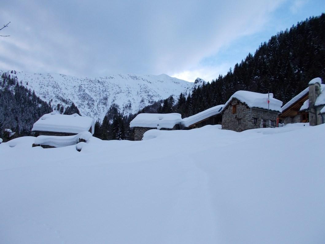 Alpe Cangello con alle spalle la Punta Vasnera