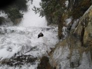 sulla precaria uscita..