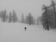 Solitudine