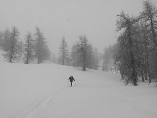 Solitudine