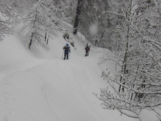 Nel bianco