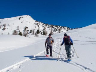 Neve intonsa