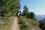 e poi si raddolcisce in fondo