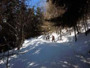 traverso nel bosco