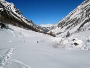 nel grande nord