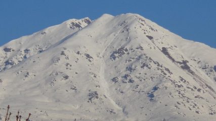 Distacco in Quinseina