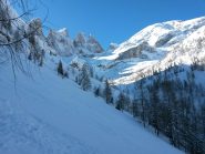 bosco ripido per evitare imbuto