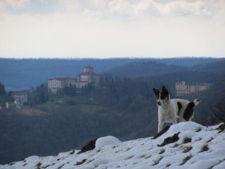 Sullo sfondo il Santuario di Graglia