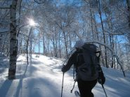 al mattino farina nel bosco...