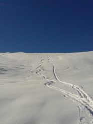 tracce