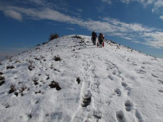 Sulla Cima Spinalba