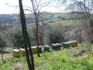 Paesaggio collinare