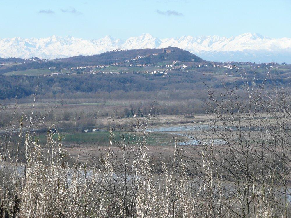 Verso collina di Camino. Sullo sfondo ci sono Bessanese, Ciamarella e Levanne