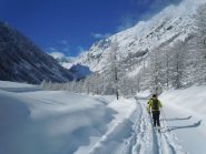 2014-03-02 Costabella del Piz - Salita al pian della regina