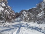 paesaggio invernale