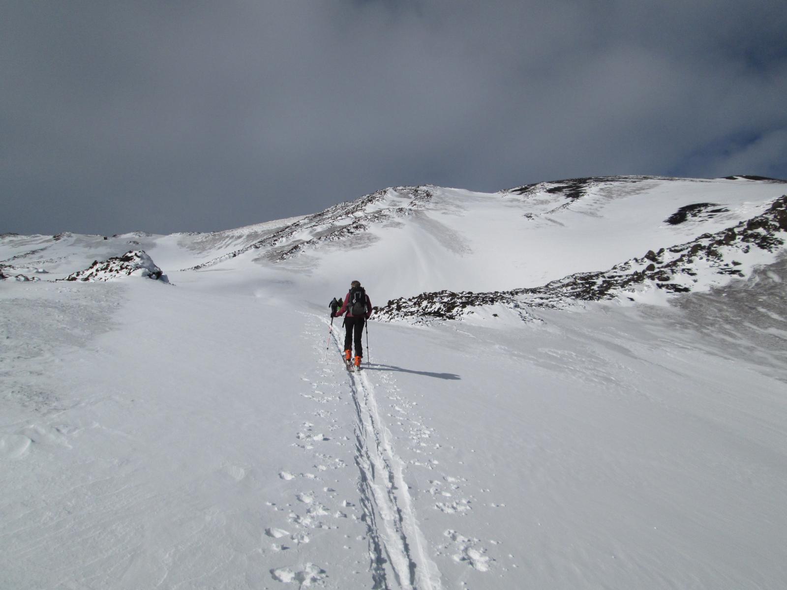 un po' di farinella...