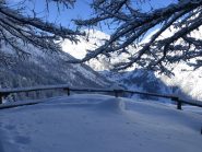 nel bel  bosco