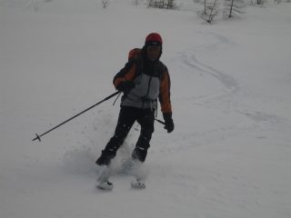 qui ci si diverte un sacco