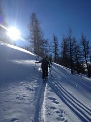 In salita nel tratto boscoso
