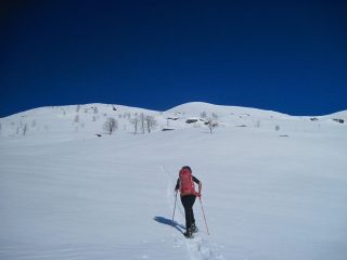Quasi all'agriturismo