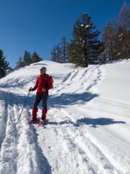 Verso il pianoro..............