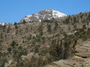 Appare la Punta Martin