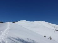 Cima Cialancia e  crinale di salita