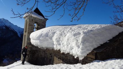 Andorina
