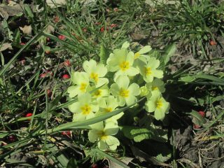 ma quante!!!