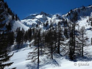 Quasi al rifugio