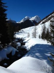 Salendo verso Callieri