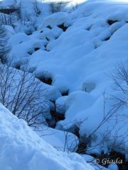 Ricami di neve