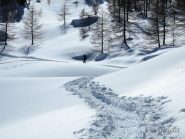 Usciti dal bosco, su bella traccia