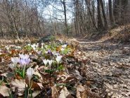 la primavera è in arrivo