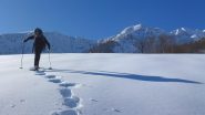 si sbuca nei prati pascolo di Palocco nuovo