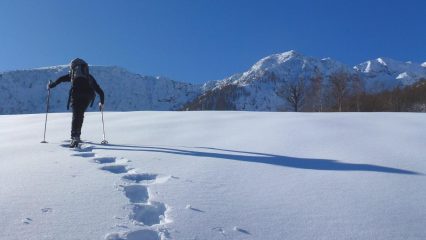 si sbuca nei prati pascolo di Palocco nuovo